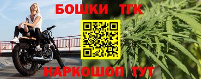 индика Лесосибирск