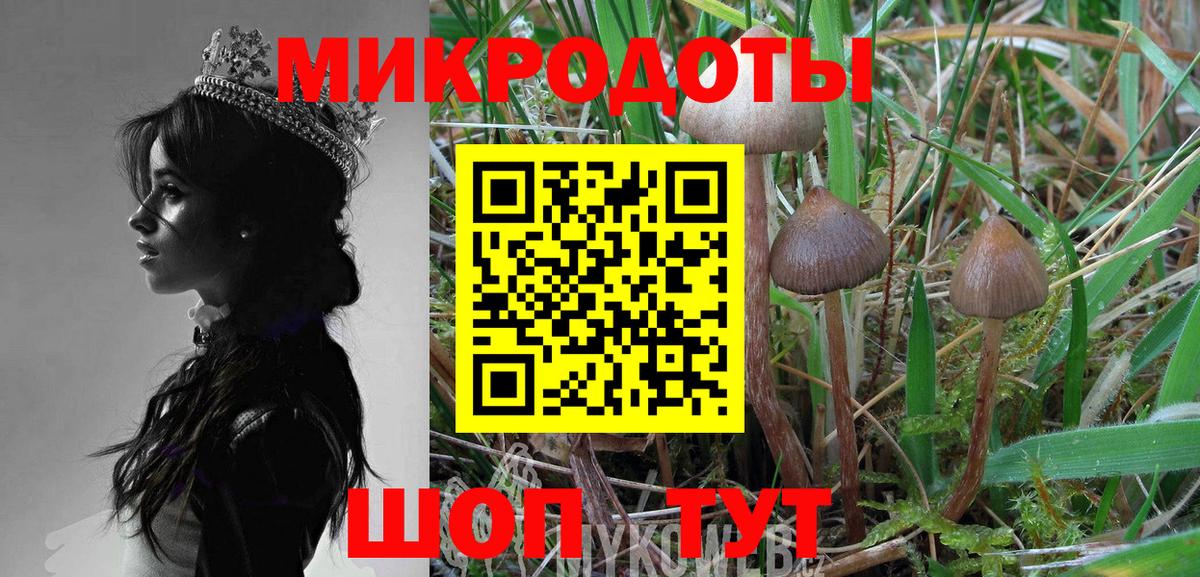 Учалы  Псилоцибиновые грибы Psilocybine cubensis  Вход с VPN  Псилоцибиновые грибы Cubensis 
